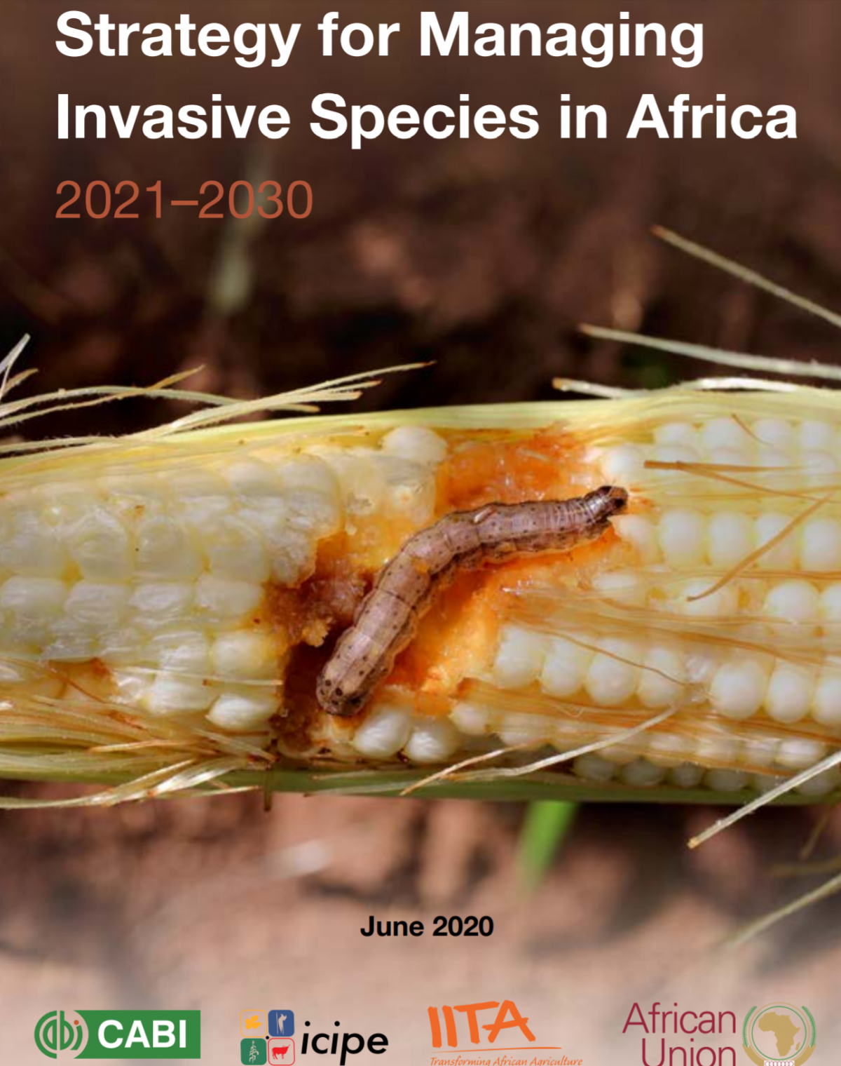 INTERNATIONAL INSTITUTE FOR TROPICAL AGRICULTURE RELEASES 10-YEAR STRATEGY FOR MANAGING INVASIVE SPECIES IN AFRICA