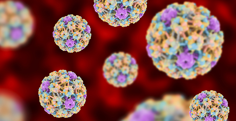 STUDY FINDS SINGLE-DOSE HPV VACCINE HIGHLY EFFECTIVE