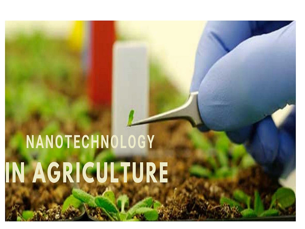 NANOTECHNOLOGY FOR THE FUTURE OF AGRICULTURE: A SHORT REVIEW