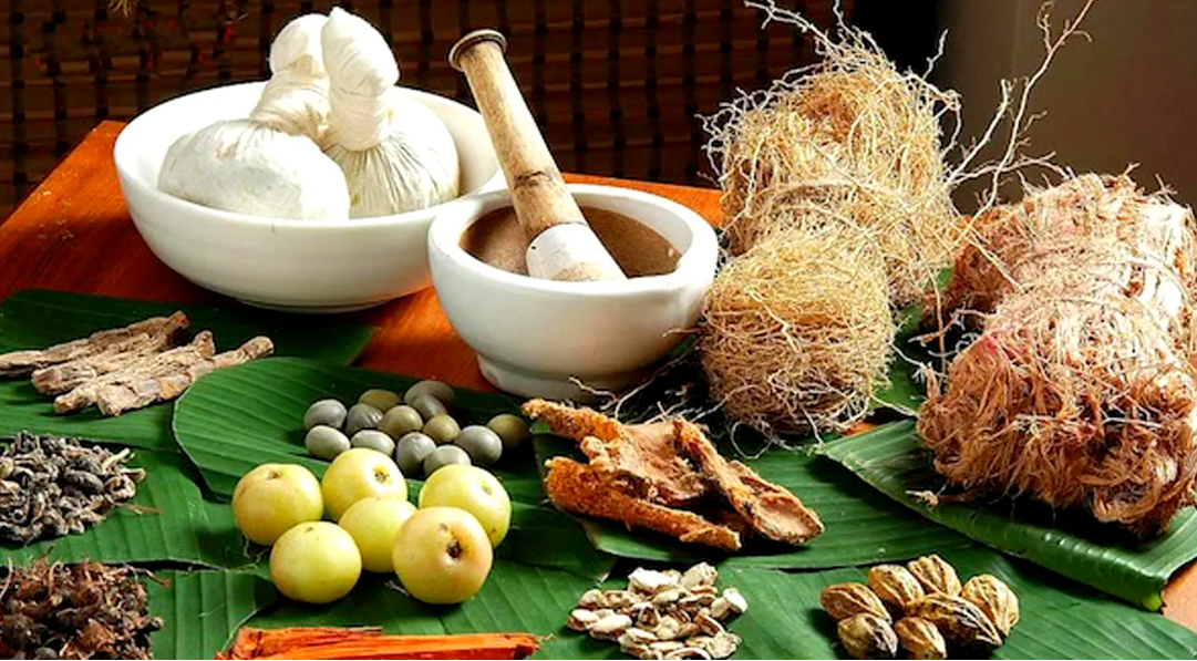 AFRICAN TRADITIONAL MEDICINE DAY 2022