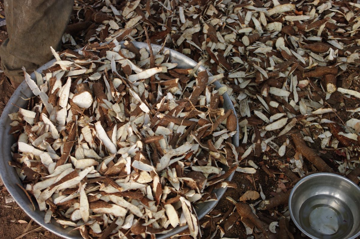 CASSAVA BIOWASTE COULD BE A GAMECHANGER IN THE DEVELOPMENT OF BIOPLASTICS AS ECO-FRIENDLY PACKAGING MATERIALS