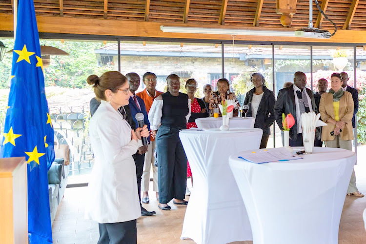 EU AMBASSADOR FLAGS OFF 23 KENYAN ERASMUS SCHOLARSHIP STUDENTS